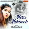 About Mera Mehboob Song